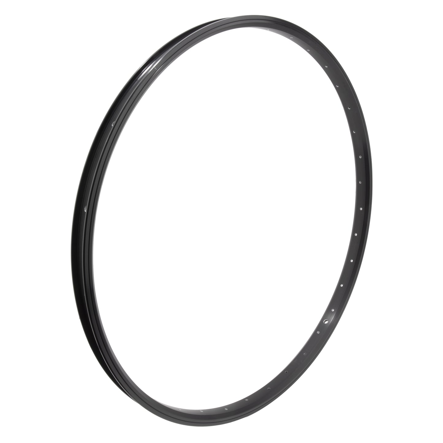 SE Racing 29" Black Double Wall Rim 36H