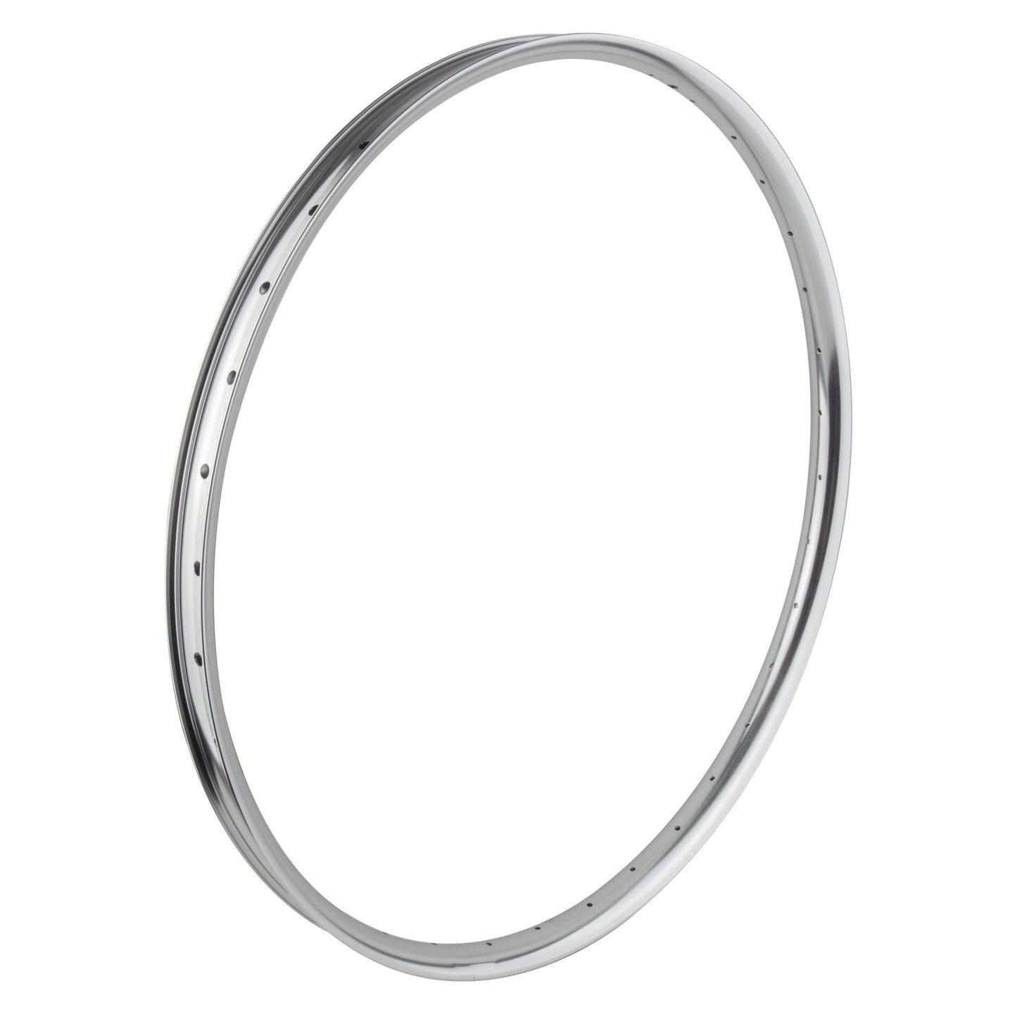 SE Racing 29" Silver Disc Double Wall Rim 36H