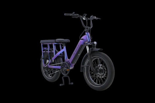 Aima Big Sur U 20" Cargo/Utility Ebike AIMA