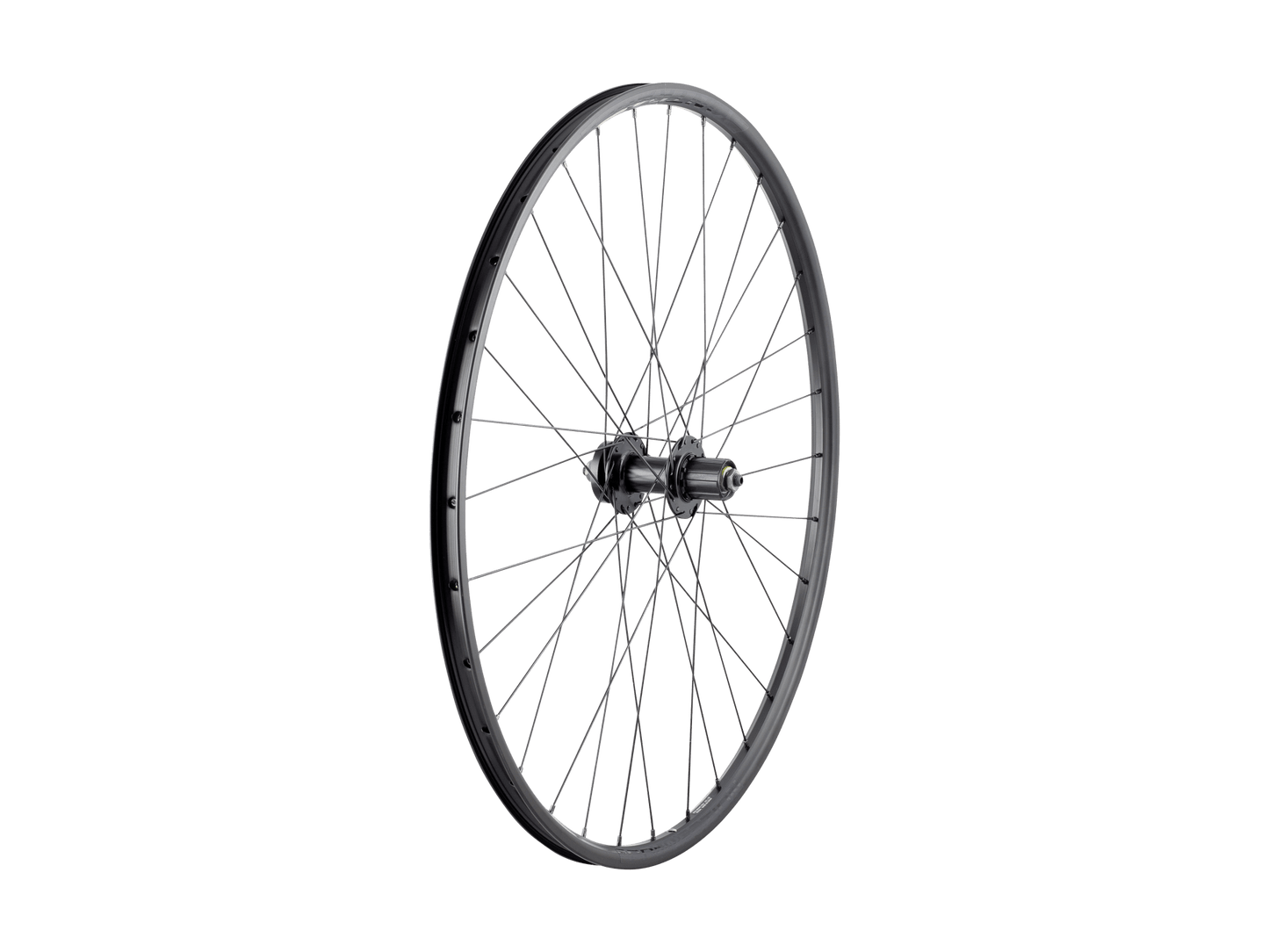Bontrager 29" Connection Schrader 6-Bolt Disc MTB 7-Speed Cassette Wheel Black