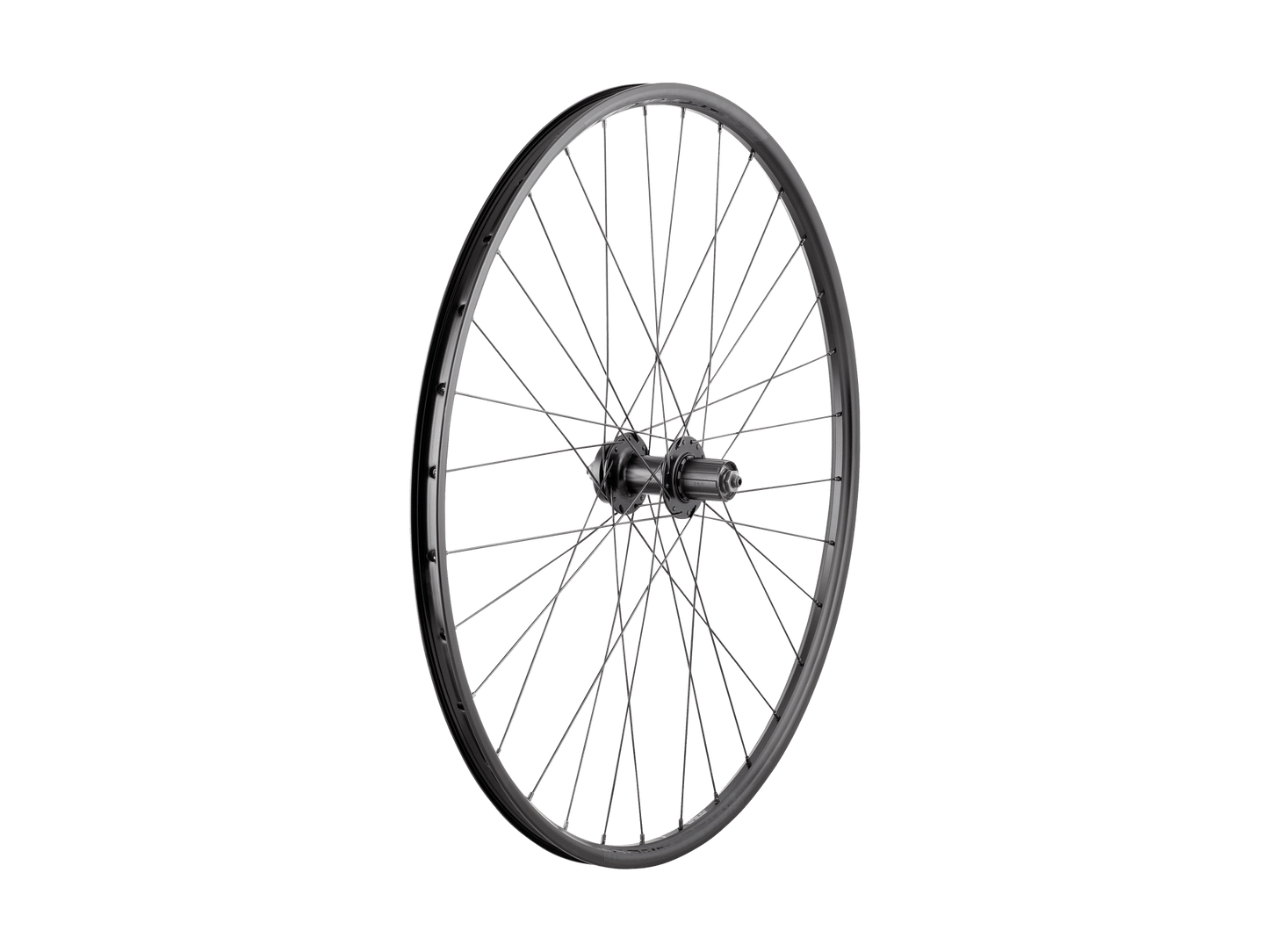 Trek 29" Connection 6-Bolt Disc Rear Wheel - Black Trek Bicycle Corporation