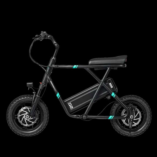 Fiido Q2 Electric Bike - Black