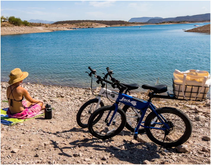 JackRabbit Quick-release Rack-Basket Combo Black (Max 22lbs)