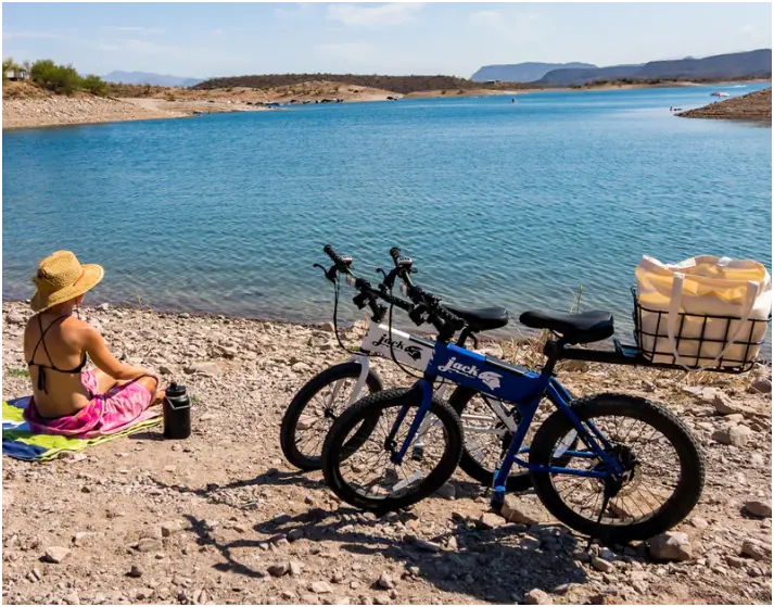 JackRabbit Quick-release Rack-Basket Combo Black (Max 22lbs) JACKRABBIT