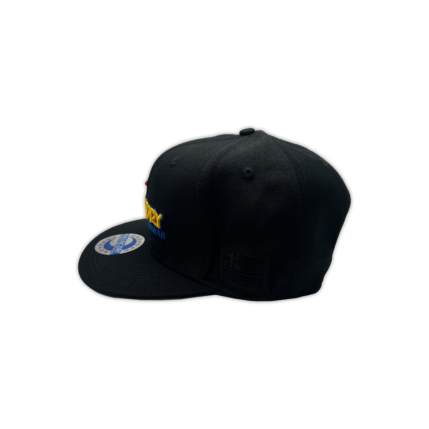 Team Bikefactory Snapback