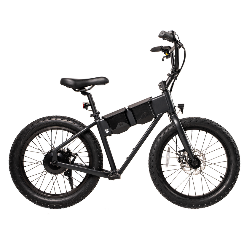 JackRabbit XG PRO 20" Ebike