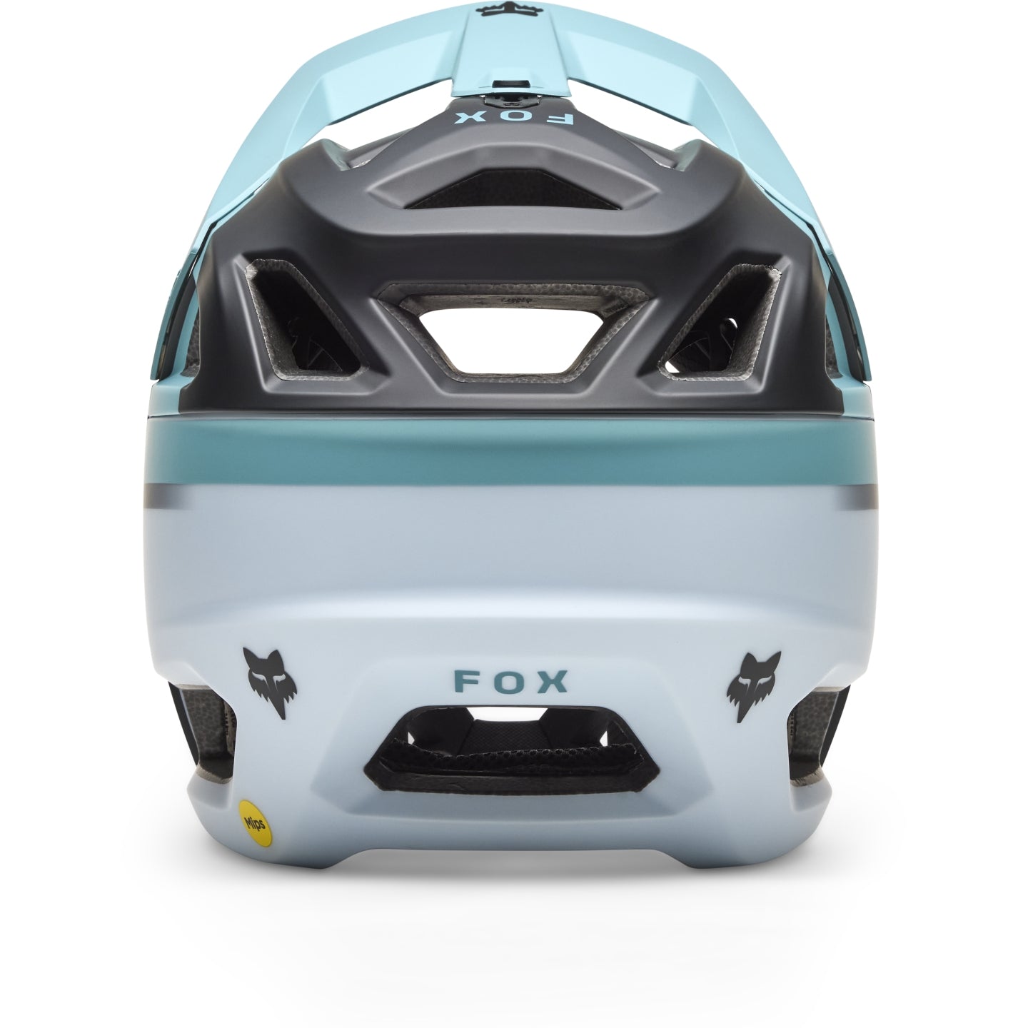 Fox Racing Proframe Rizer Full Face Helmet Pale Blue