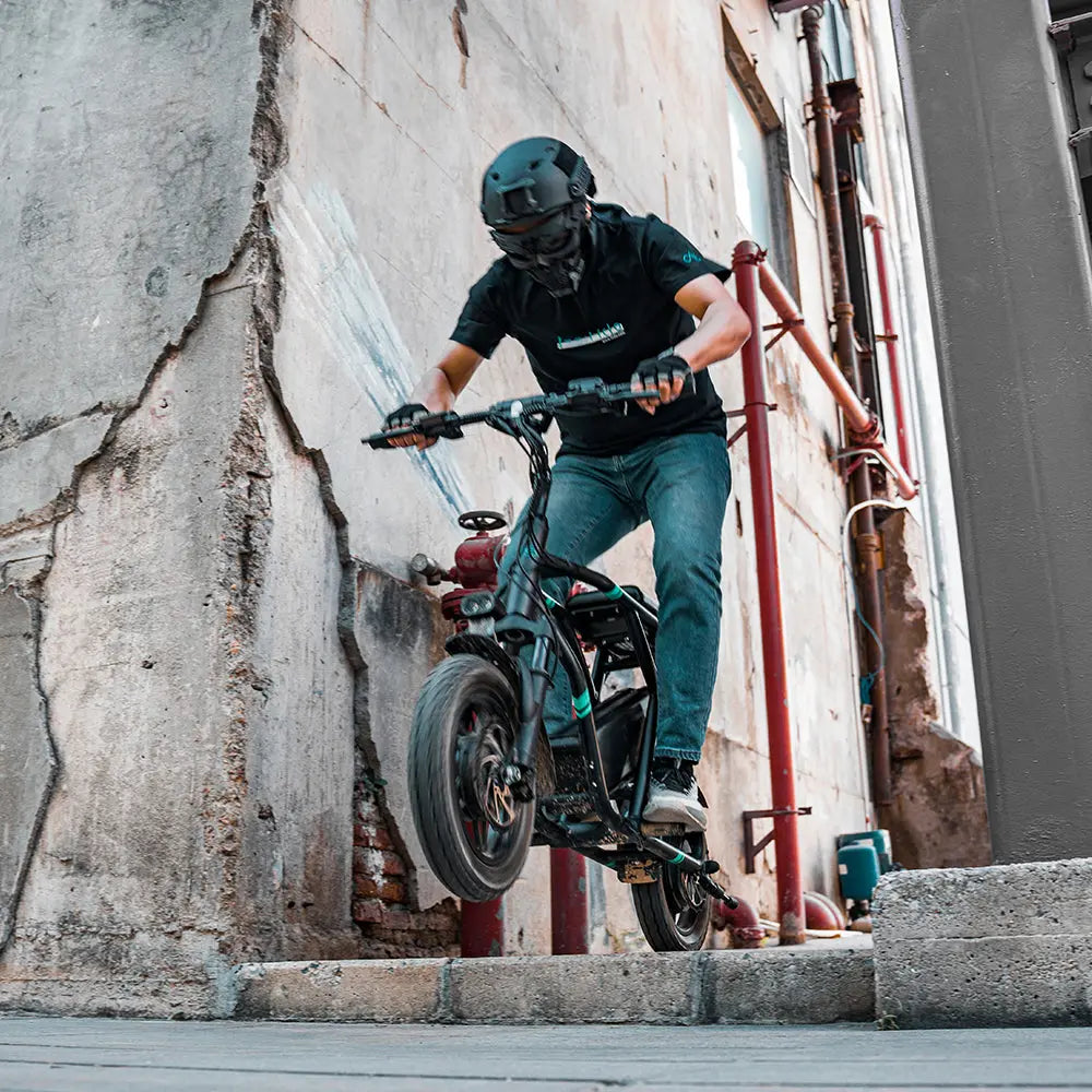 Fiido Q2 Electric Bike - Black Fiido