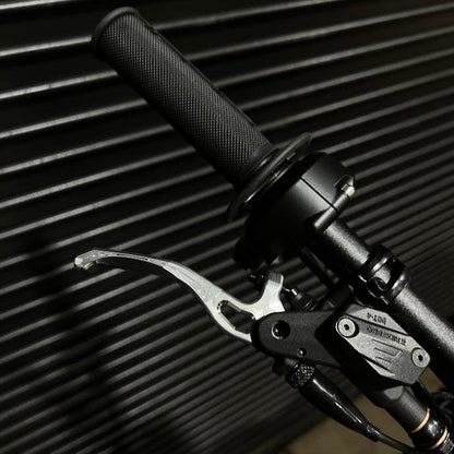 Vanguard's Garage E Ride Pro 3.0  / SR Brake Levers - Titanium
