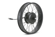 Troxus Lynx Cargo 20" 750w Rear wheel Troxus