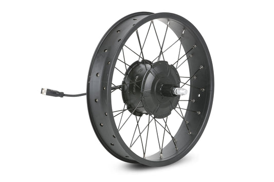 Troxus Lynx Cargo 20" 750w Rear wheel