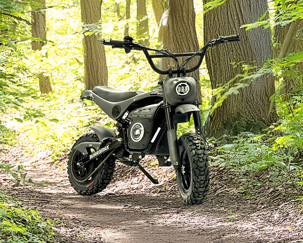 Burromax Electric Sportsman Bike, HRH Model 52V 3.5kW Burromax