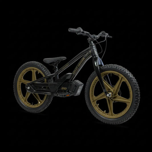 Stacyc Harley-Davidson 20eDRIVE Low Rider Edition Black/Gold STACYC