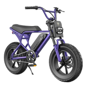 Macfox M16 Electric Bike