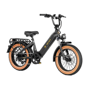 Aima 20" Big Sur Sport E-bike AIMA
