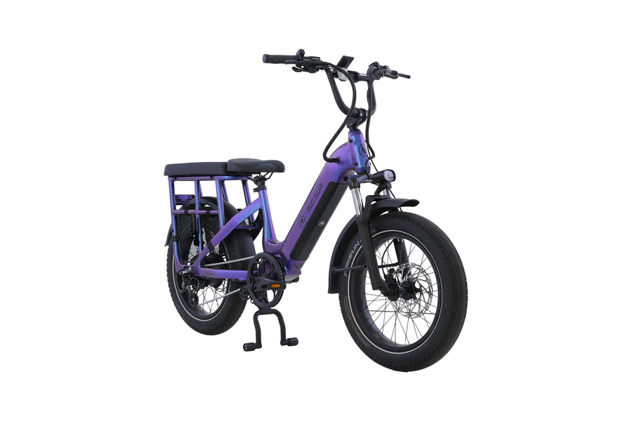 Aima Big Sur U 20" Cargo/Utility Ebike AIMA