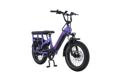 Aima Big Sur U 20" Cargo/Utility Ebike AIMA