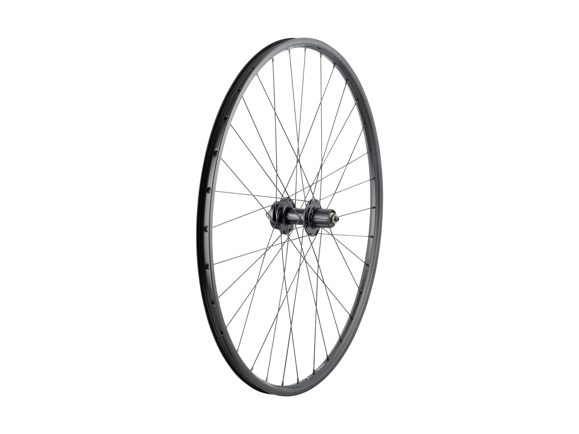 Bontrager 29" Connection Schrader 6-Bolt Disc MTB 7-Speed Cassette Wheel Black Bontrager