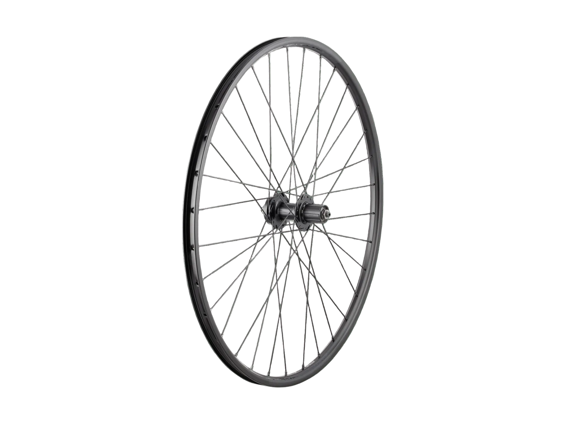 Trek 29" Connection 6-Bolt Disc Rear Wheel - Black Trek Bicycle Corporation