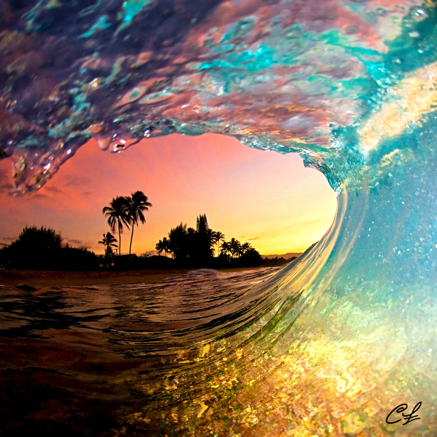 Sector 9 - Fractal Shave Ice Sector 9