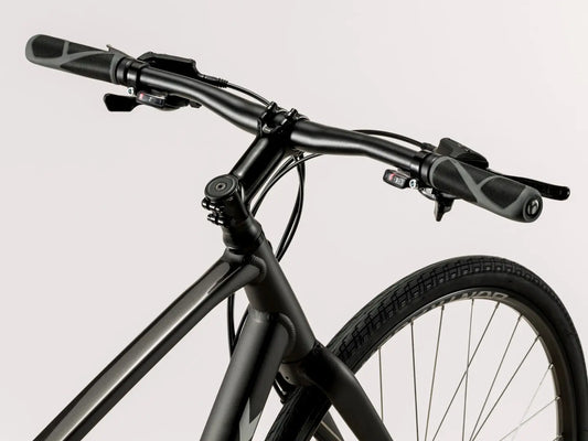 Trek FX 2 Disc L/20" Matte Dnister Black Trek Bicycle Corporation