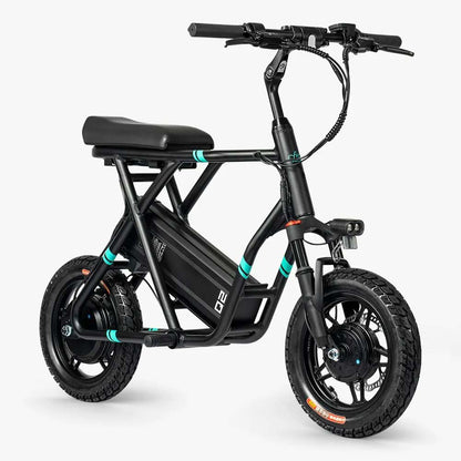 Fiido Q2 Electric Bike - Black