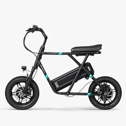 Fiido Q2 Electric Bike - Black