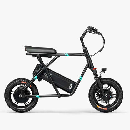 Fiido Q2 Electric Bike - Black