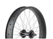 Electra Ponto Go! 20˝ Wheel
