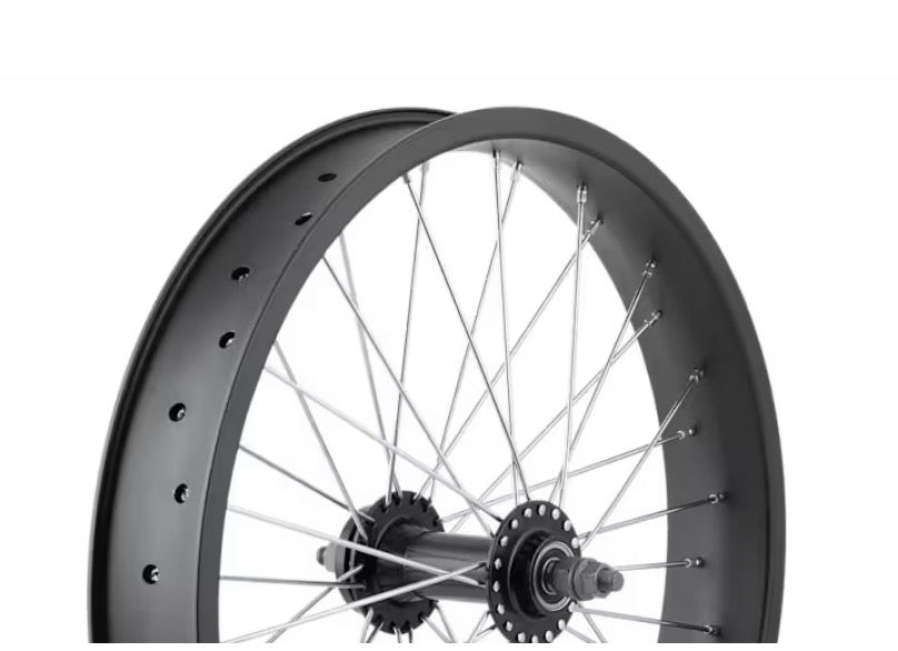 Electra Ponto Go! 20˝ Wheel