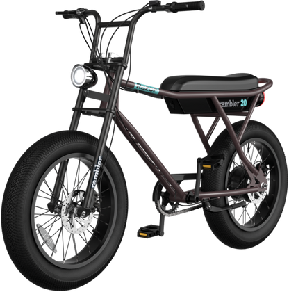 Razor Rambler 20 Electric Bike - Brown/Teal