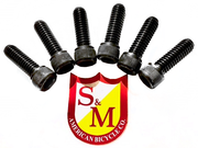 S&M Stem Replacement Bolts 5/16-18 x 1" (American Threads) BIKEFACTORY Hawaii