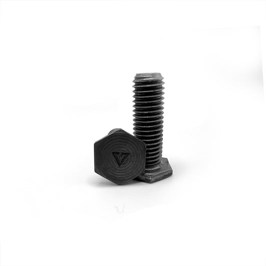 Vanguard's Garage SR - Swing Arm Extensions Bolts