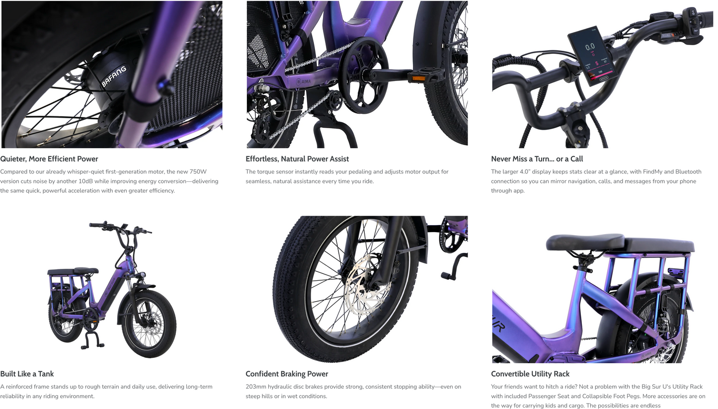 Aima Big Sur U 20" Cargo/Utility Ebike AIMA