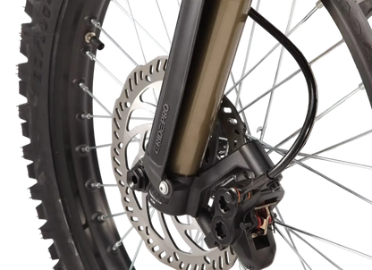 E RIDE PRO - PRO SR W/Fatty 19"/18" Electric Dirtbike E RIDE PRO