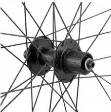 Bontrager 29" Connection Schrader 6-Bolt Disc MTB 7-Speed Cassette Wheel Black