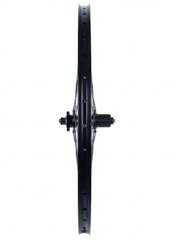 Bontrager AT550/FM31 27.5" 36H Freewheel Rear Black