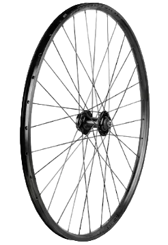 Bontrager Connection 6-Bolt Disc 29" Rear Freewheel Wheel Black