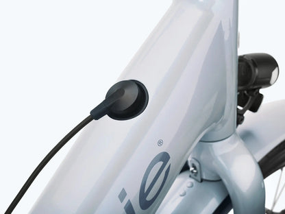 Townie Go! S Vapor Medium Large BIKEFACTORY Hawaii