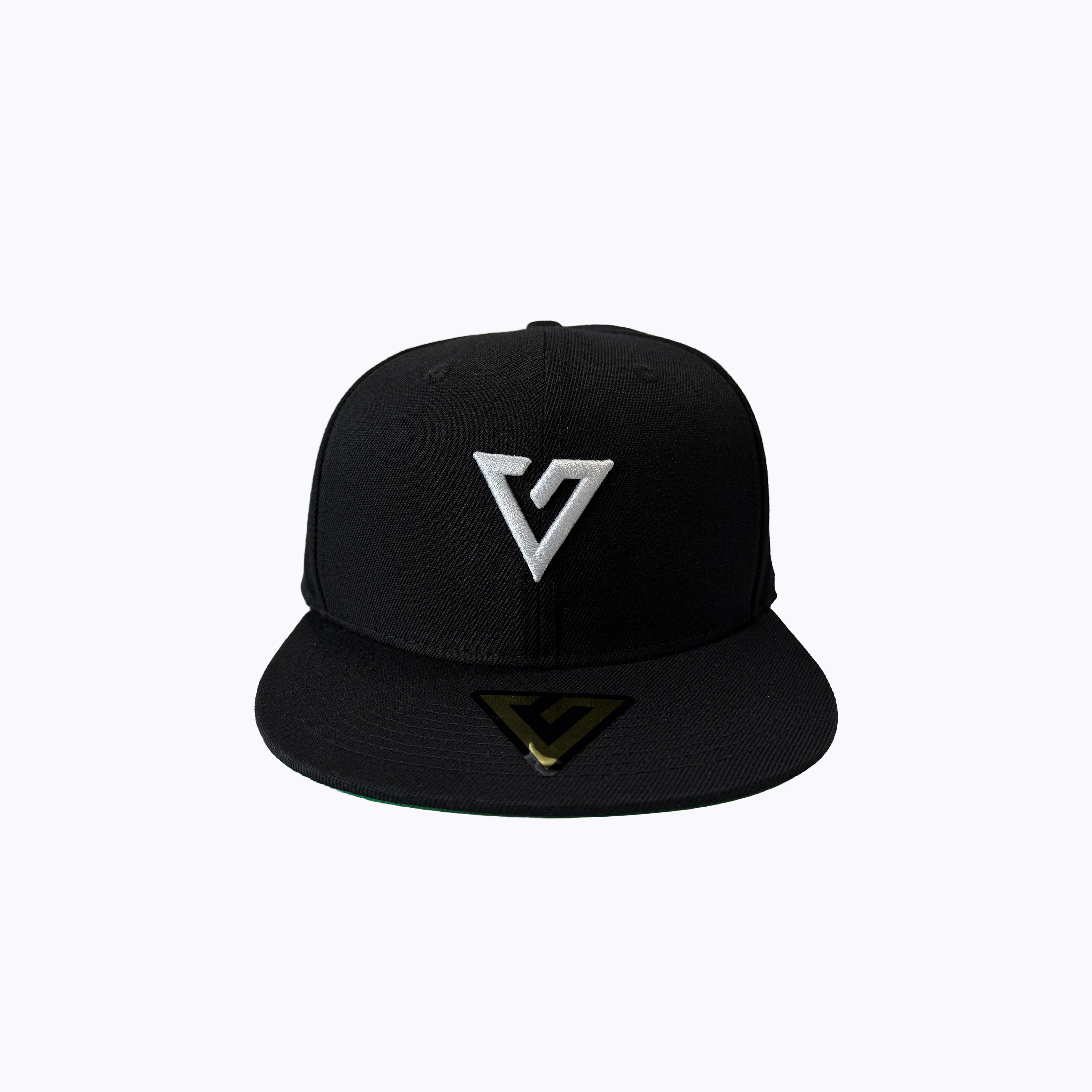 Vanguard's Garage 2026 - 6 Panel Snapback - Black