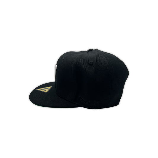 Vanguard's Garage Snapback