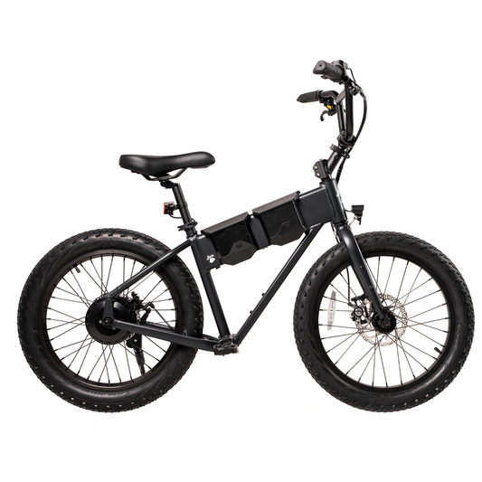 JackRabbit XG PRO 20" Ebike