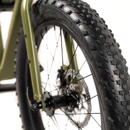 JackRabbit XG PRO 20" Ebike