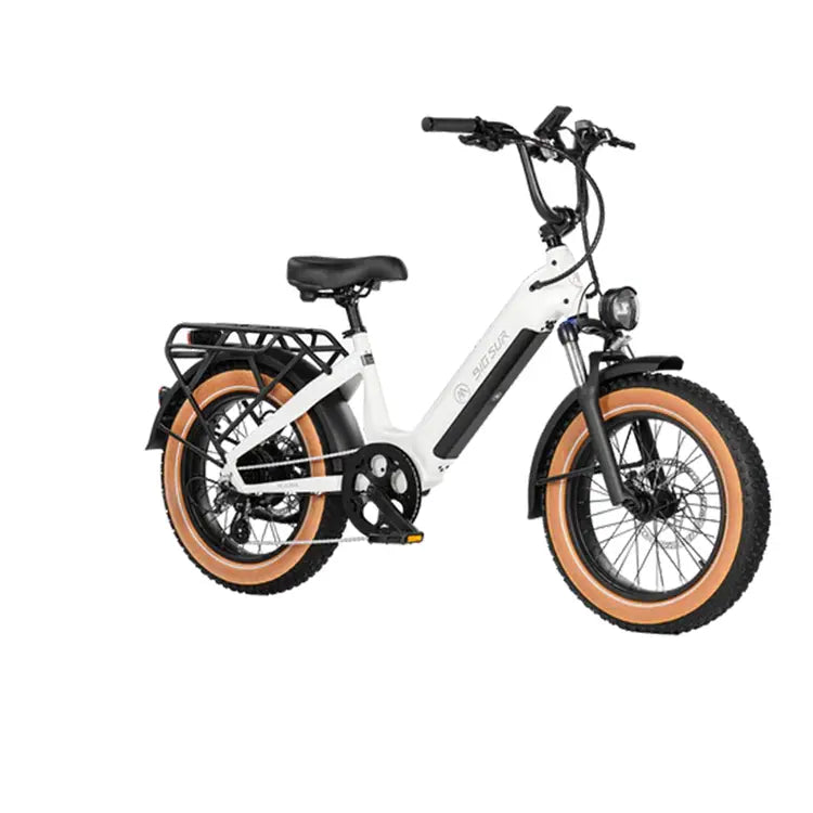 Aima 20" Big Sur Sport E-bike AIMA