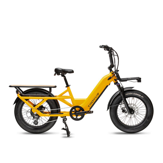 Troxus Lynx Cargo 20" E-bike Mango