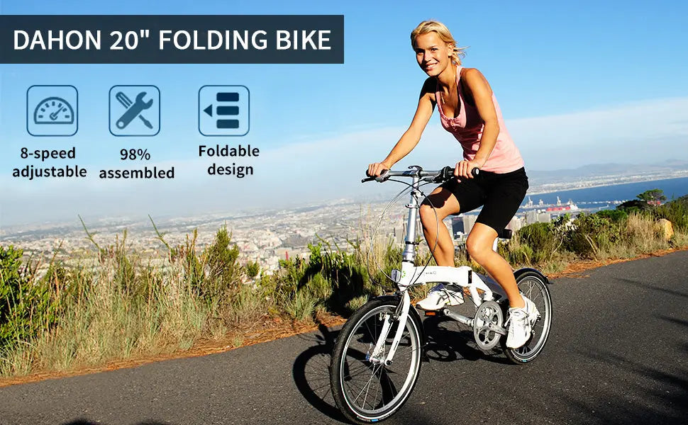 Dahon Mariner D8 20" Quicksilver Dahon