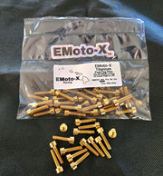 EMXTPP-GLD Titanium Peg Pins 32Pack Gold