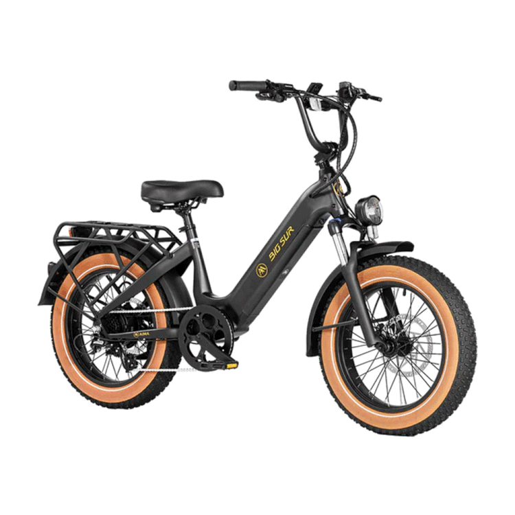 Aima 20" Big Sur Sport Ebike