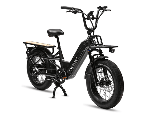 Troxus Lynx Cargo 20" E-bike Charcoal