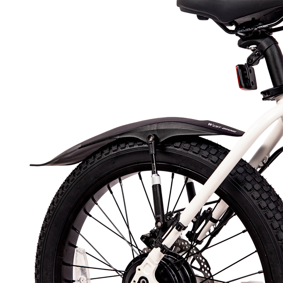 JackRabbit Strut Fender JACKRABBIT